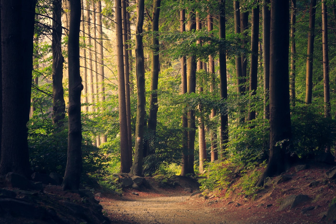 The Green Valley Conservation website